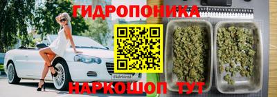 СК Владикавказ