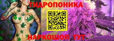 бошки Владивосток